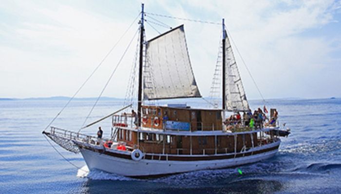 Old small cruise ships in Croatia