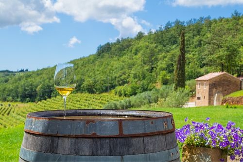 Istria Wine, Croatia