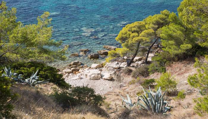 Milna Coastal Walk