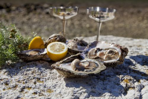 Oyster & Wine Tour, Croatia