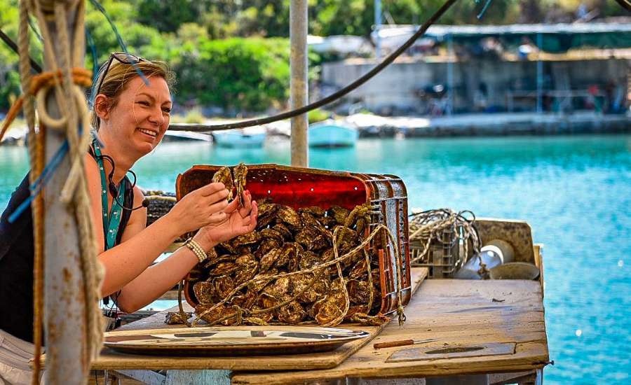 Oyster tasting in Ston