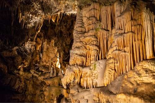 Postojna Cave, Slovenia