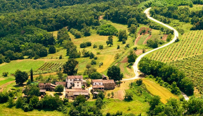 Village near Motovun