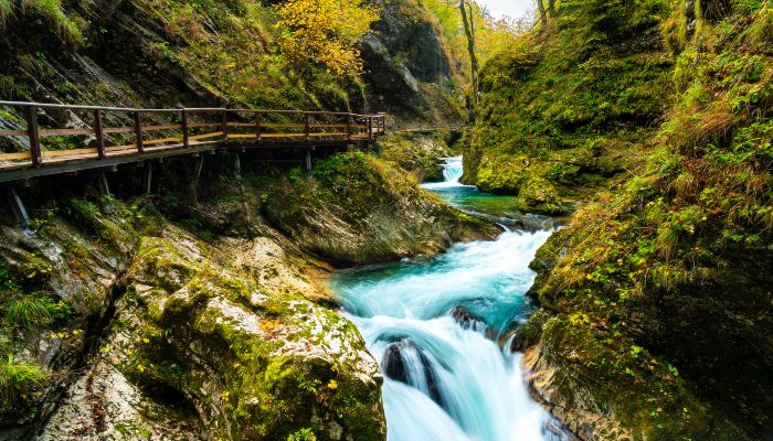 Vintgar Gorge, Slovenia