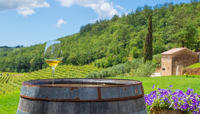 Winery in Istria